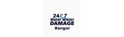 24/7 Water Damage logo