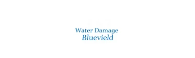 24/7 Water Damage logo