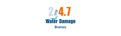 24/7 Water Damage logo