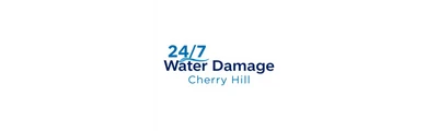 24/7 Water Damage logo