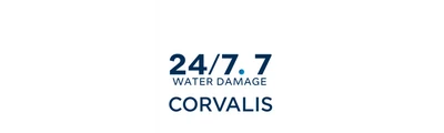 24/7 Water Damage logo