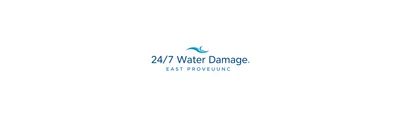24/7 Water Damage logo