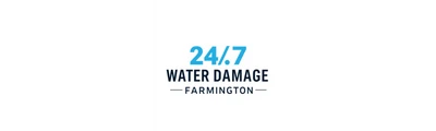 24/7 Water Damage logo