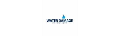 24/7 Water Damage logo