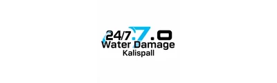 24/7 Water Damage logo