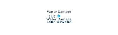 24/7 Water Damage logo