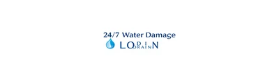 24/7 Water Damage logo