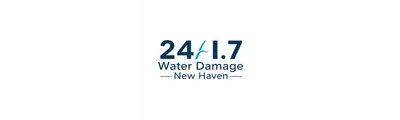 24/7 Water Damage logo
