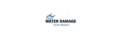 24/7 Water Damage logo