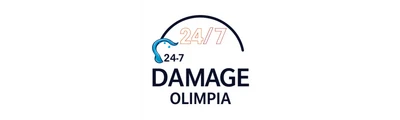 24/7 Water Damage logo