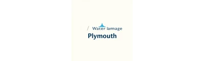 24/7 Water Damage logo