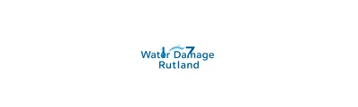 24/7 Water Damage logo