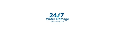 24/7 Water Damage logo