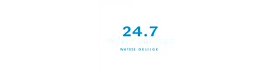 24/7 Water Damage logo